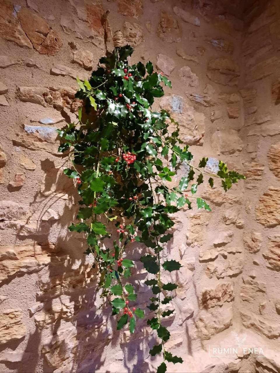 Rumin Enea Turismo De Pueblo Villaverde  Bagian luar foto